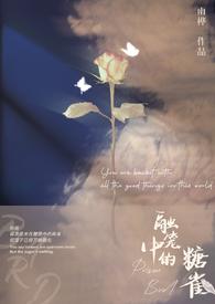 融笼by雨桦全文阅读