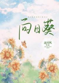 向日葵7月13日主力资金净卖出