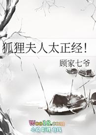 狐狸夫人txt