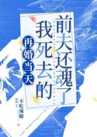 再婚前夜亡夫回来了讲的什么故事