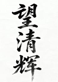 望清辉女尊np