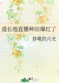 直播我是道长