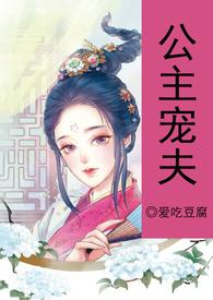 公主宠夫全集