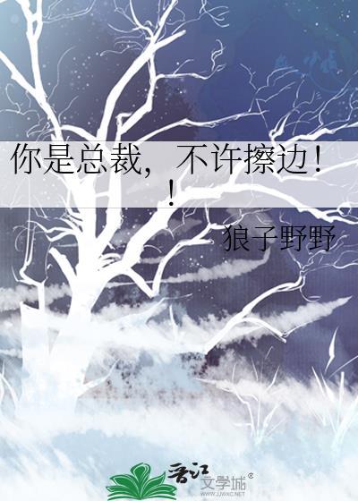 总裁你别动
