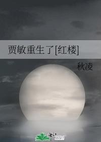 红楼之贾敏重生日记录