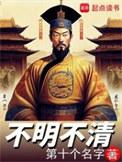 不明不清在线阅读