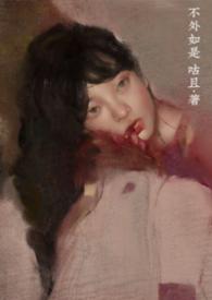 不外如是什么意思