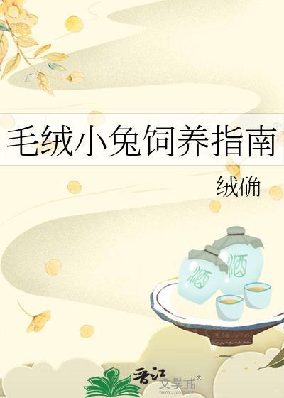 毛绒小兔饲养指南最新