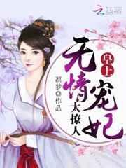 皇上宠妃推荐