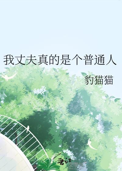 我的丈夫是一个陌生人游戏