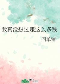 我真没想赚大钱阿加安