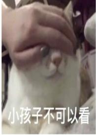 圈养蔷薇简介