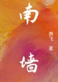 南墙txt知安