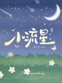 小流星泰剧在线观看