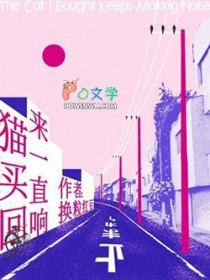 买回来的小猫咪一直叫
