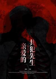 亲爱的共犯先生by