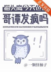 猫头鹰吧
