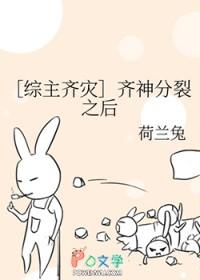 综齐神系统
