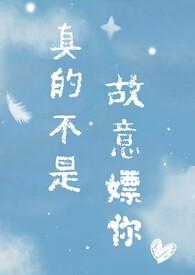 真不是故意瞟你免费阅读