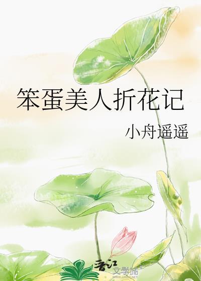 笨蛋美人折花记晋江