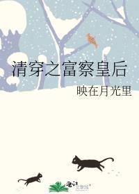 清穿之富察氏皇后浅兮