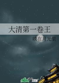 大清王朝百度百科