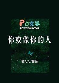 你或像你的人薄司年