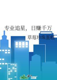追星职业