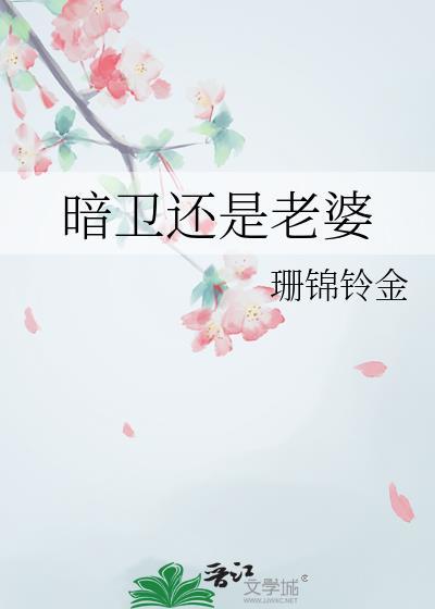 暗卫还是老婆免费阅读