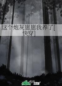 这个炮灰我罩了无删减