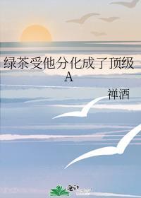 绿茶受他分化成了顶级A 禅酒