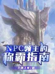 npc地下城领主 TXT