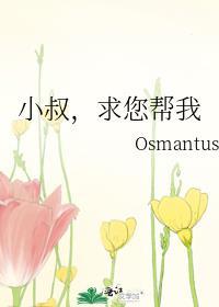 小叔快要我