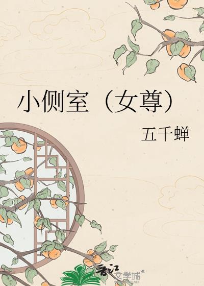 小侧室女尊TXT