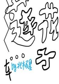 莲花子图片