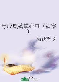 穿越成胤禛嫡福晋的