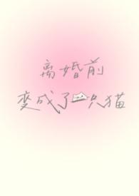 离婚前变成了一只猫by谁又偷猫肉