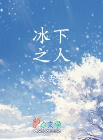冰之下视频解说