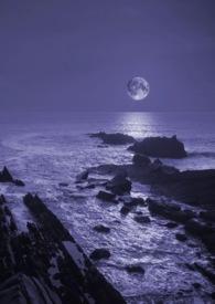 暗夜与黎明电视剧