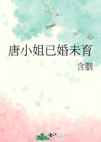唐小姐已婚未育简介