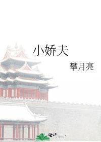 小娇夫系列电视