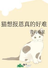 娱乐圈失控TXT