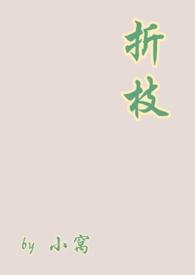 折枝阅读无删减版