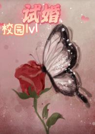长篇试婚