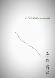 原则崩坏无广告