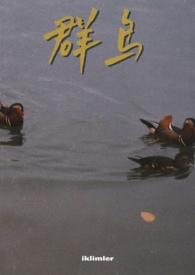 群鸟飞舞