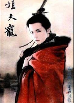 姐夫宠大结局