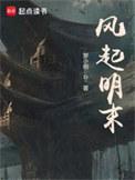 风起明朝电视剧