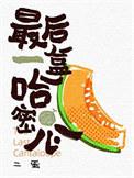 哈密瓜礼盒