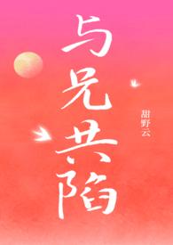 与兄共陷无弹窗